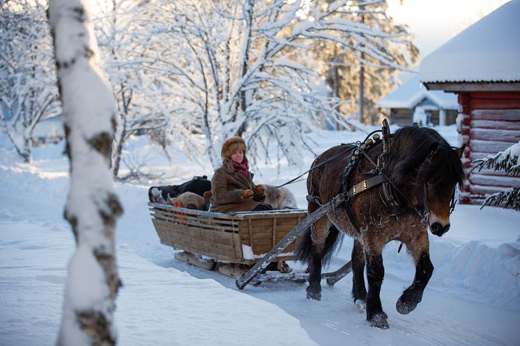 FryksasChalet_HorseSleighRide_photoJuliusAspman_VisitDalarna