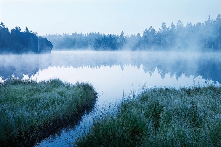 Naturpark Doubs, Etang de la Gruere