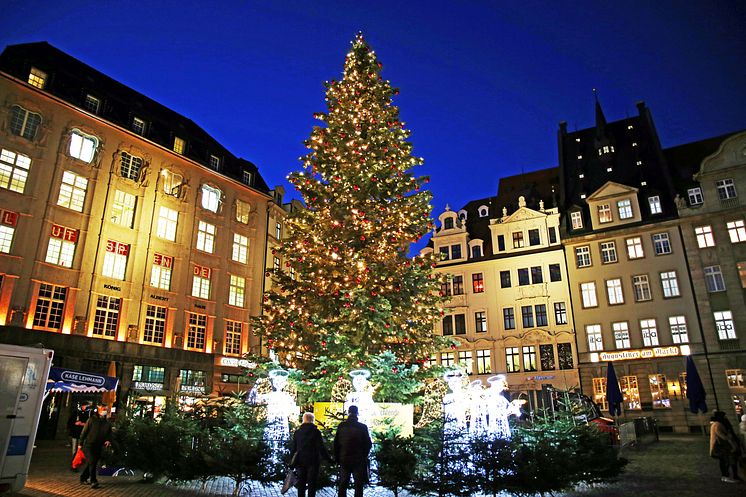 Leipzig - Weihnachtsbaum auf dem Markt