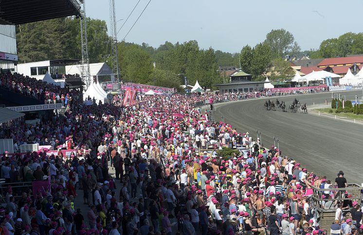 Publik Elitloppet