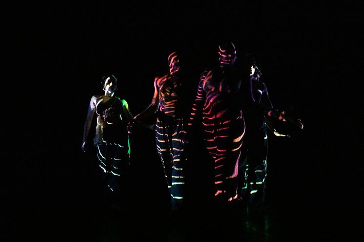 Company Nicolas Huchard - The barefoot diva