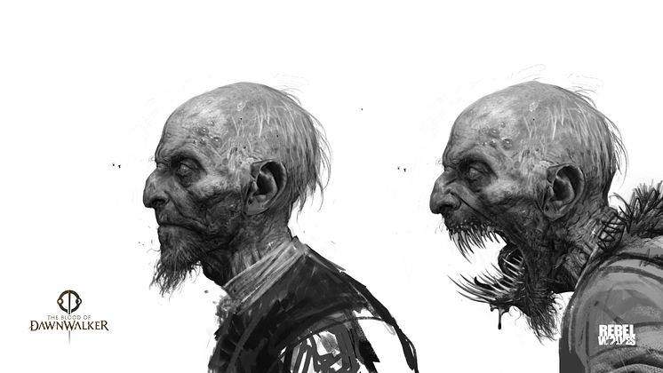 The_Blood_of_Dawnwalker_concept_art_Brencis.jpg