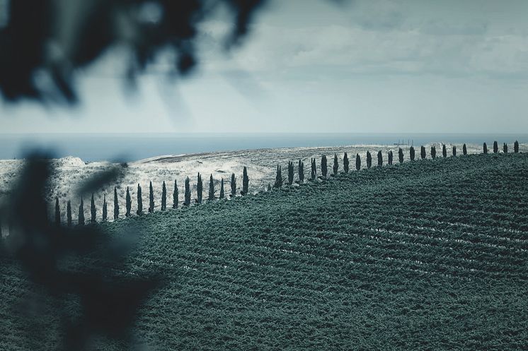 McLarenVale Sea View.jpg