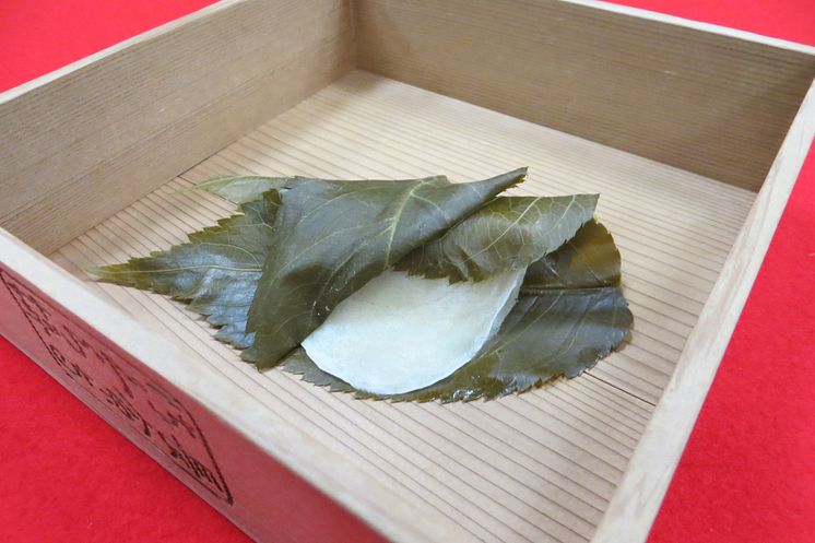 Chomeiji Sakura-mochi