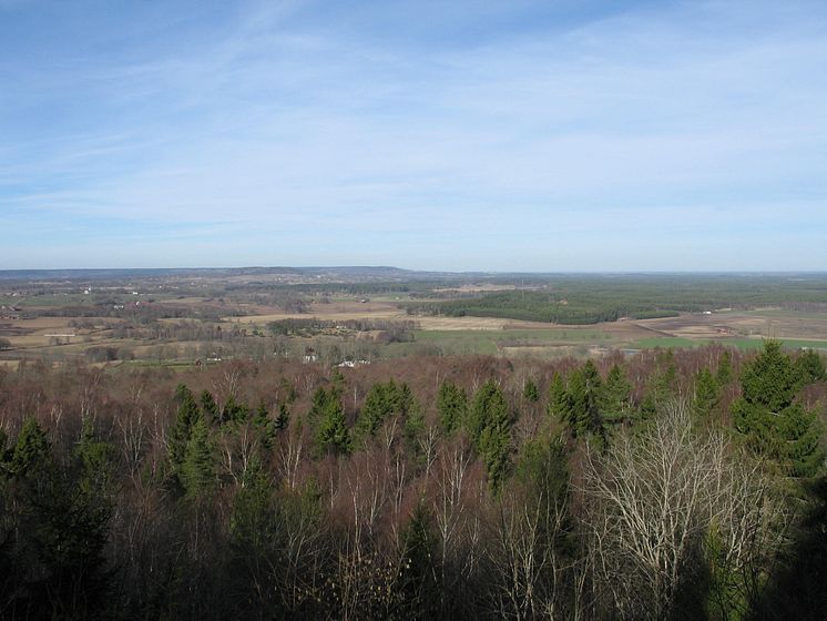 Utsikt från Höge klint, Lena borgs naturreservat