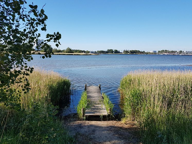 Burger Binnensee im Sommer