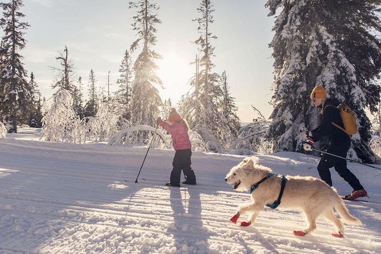 Längdskidåkning för hela familjen