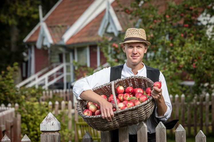 Den som tycker om att baka kan ställa upp i äppelkakstävlingen.