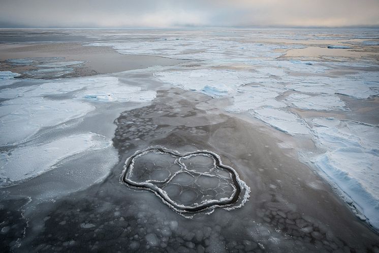 Havsis sett från isbrytaren Oden. Foto: Björn Eriksson