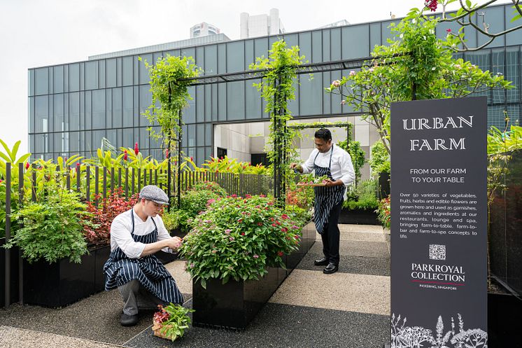 12. Urban Farm features over 50 varieties of fruits, herbs and edible flowers that bring farm-to-table, farm-to-bar and farm-to-spa concepts to life