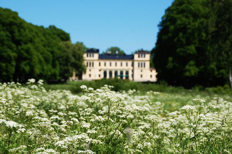 Sommar i slottsparken