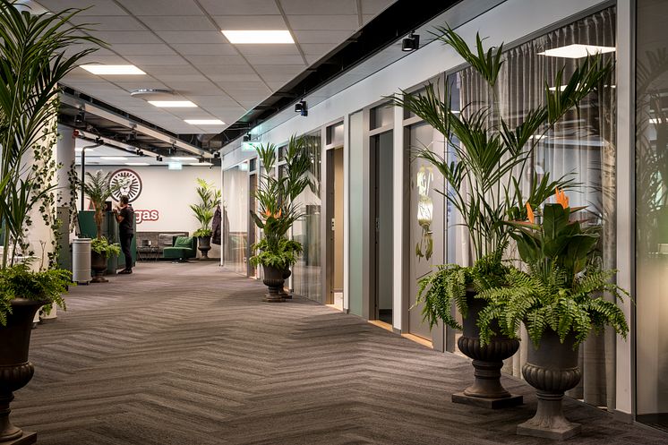 LeoVegas Stockholm office