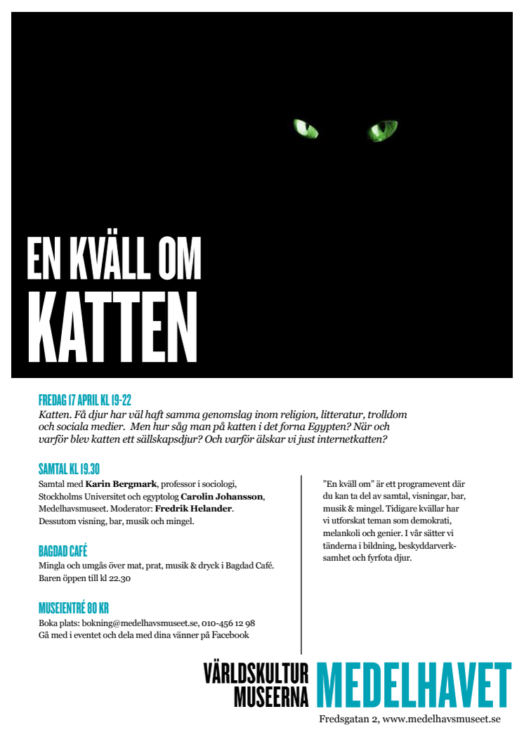 En kväll om Katten