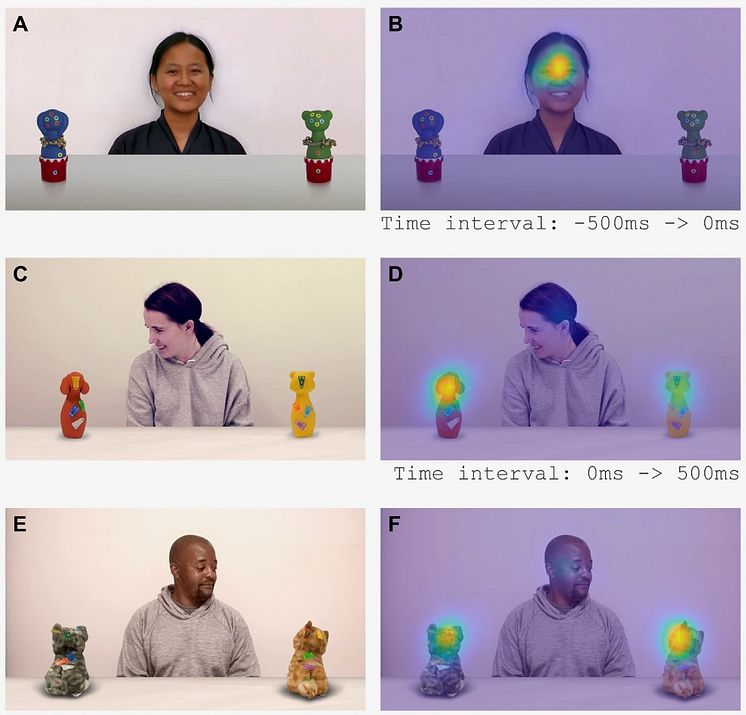 Babylabtest eye tracking 