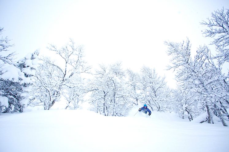 Pudder i Hemsedal 17 januar 2014