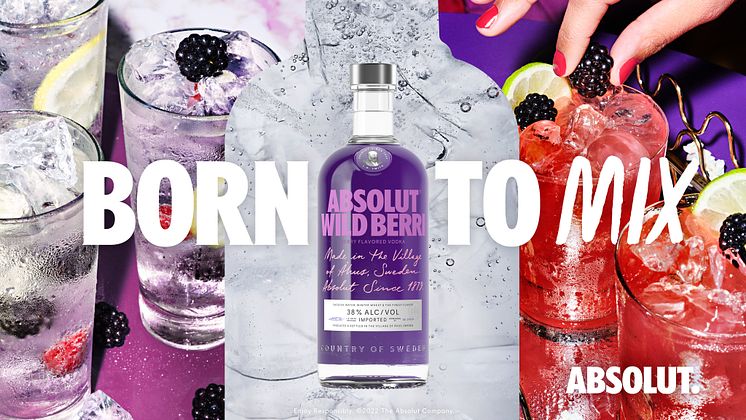 Absolut Wild Berri key visual (2)