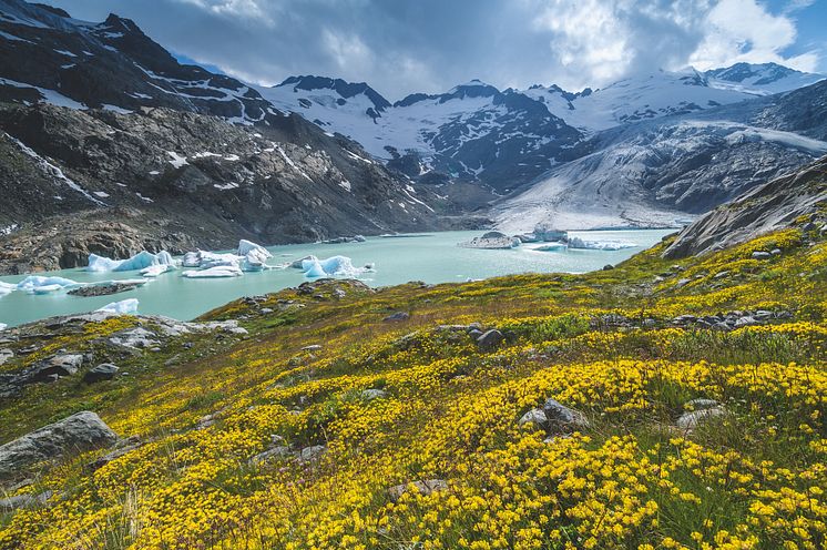 Gauligletscher