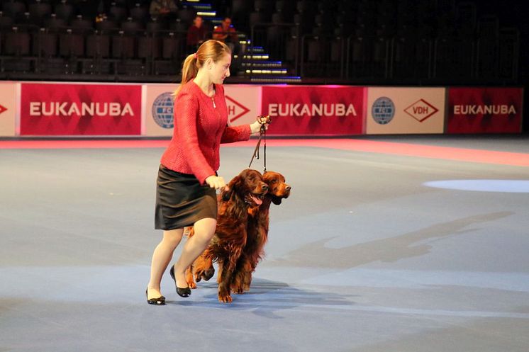 World Dog Show 2017 - Schaulaufen im Showring