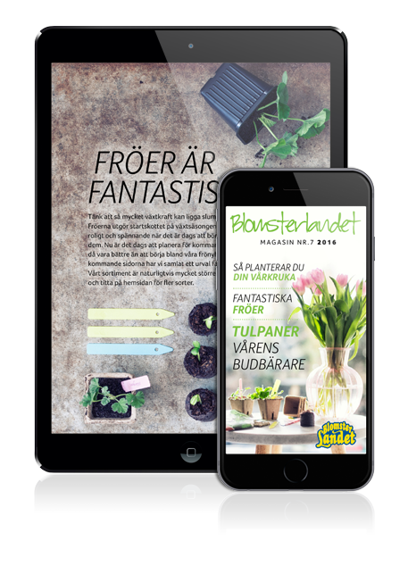 Blomsterlandets digitala magasin