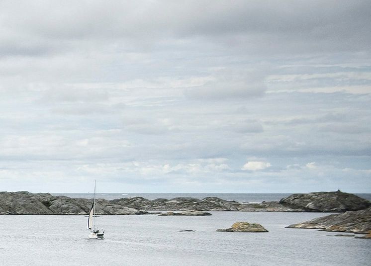 HaV inför krav på utbildning och tillstånd för trålfiske i Kosterhavet