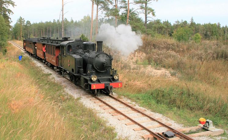 6 Gotlandståget.JPG