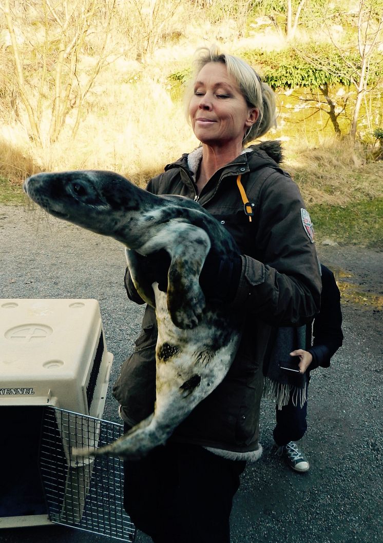Lili med sälkut.JPG