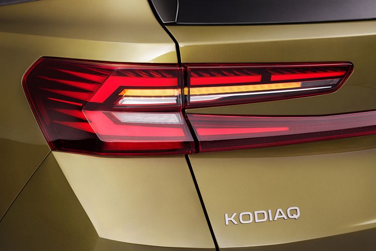 Ny Kodiaq 2024