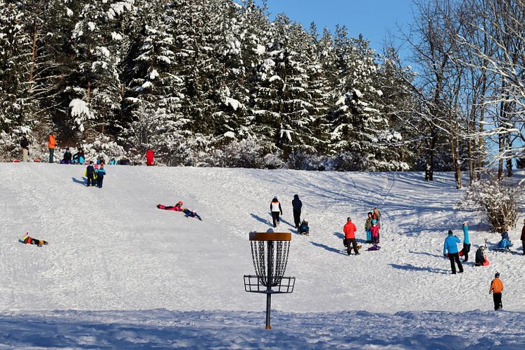 Pulka i Järva DiscGolfPark