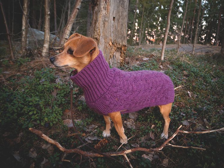 Basic Wool plait sweater raspberry dog.jpg