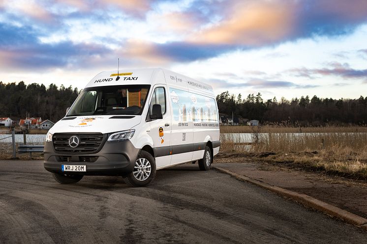 eSprinter Hundtaxi