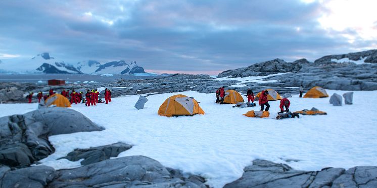 Camping at the Petermann Island, Antarctica
