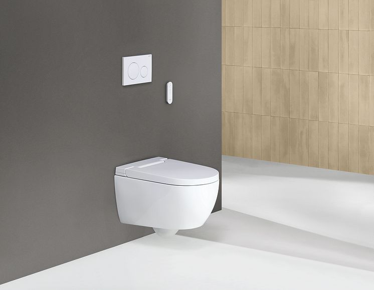 2024_Geberit AquaClean Alba_Private_Remote control_Sigma20_grey_no_deco_Original