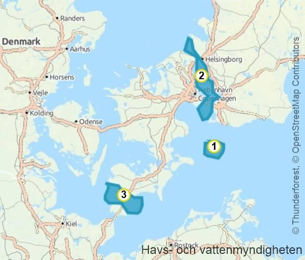 HaV får ledande roll i planeringen av Östersjön – EU säger ja till 20-miljonersprojekt