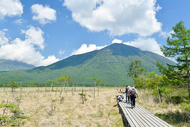 Senjogahara Marshland (Summer)