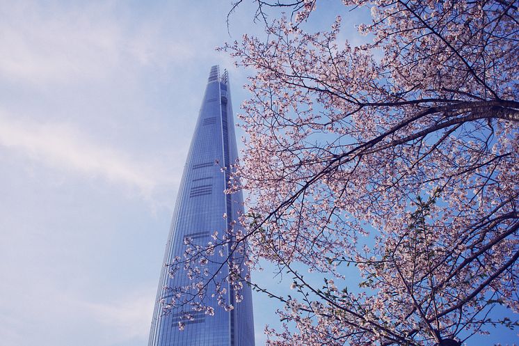 Soulin 129-kerroksinen Lotte World Tower kuvattuna puun juuresta. Oksat väistyvät rakennuksen tieltä. 