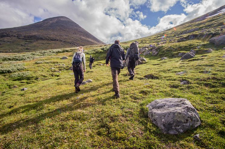 Mot Hambergs glaciär