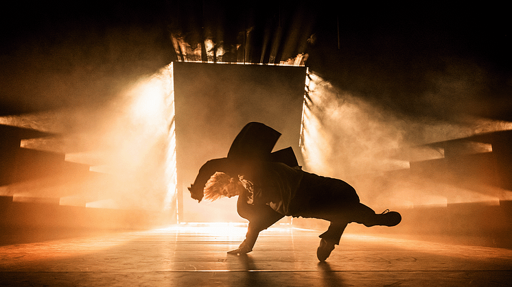 Master of Dance / Fredrik Benke Rydman