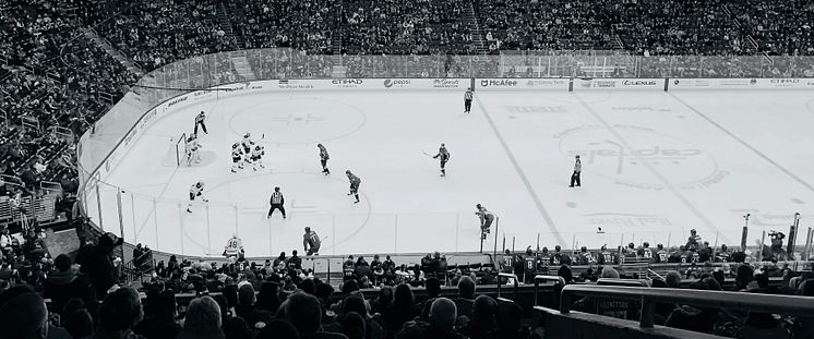 hockey-rink