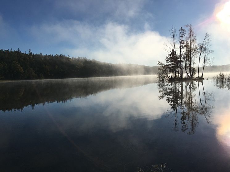 Finnsjön i Mölnlycke är ytvattentäkt för dricksvatten i Härryda kommun.