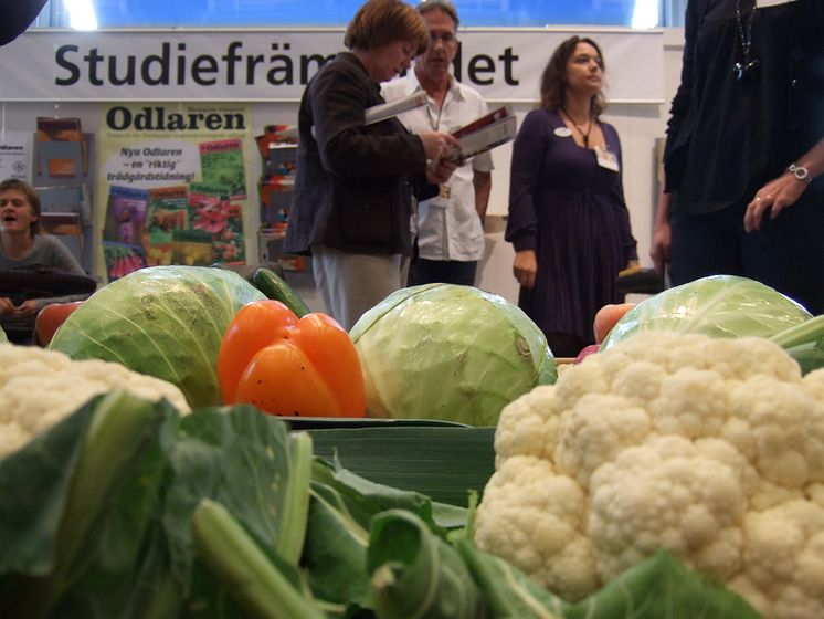 Studiefrämjandet på Bok och bibliotek