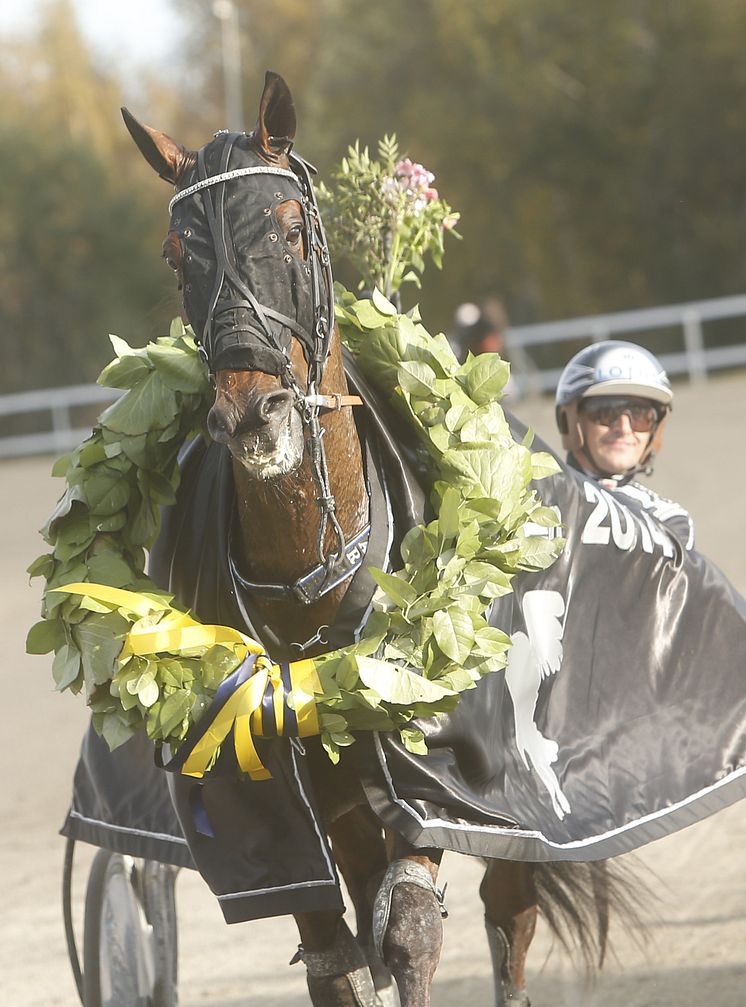 Nahar startar på Solvalla på Annandagen.