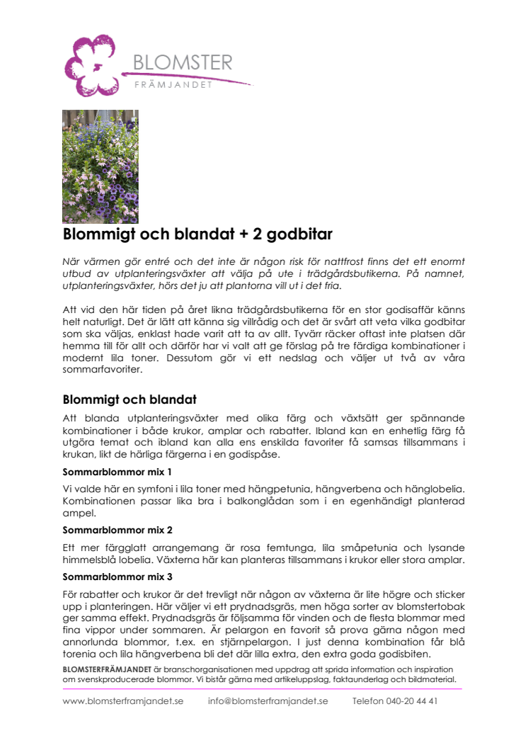 Blommigt och blandat + 2 godbitar