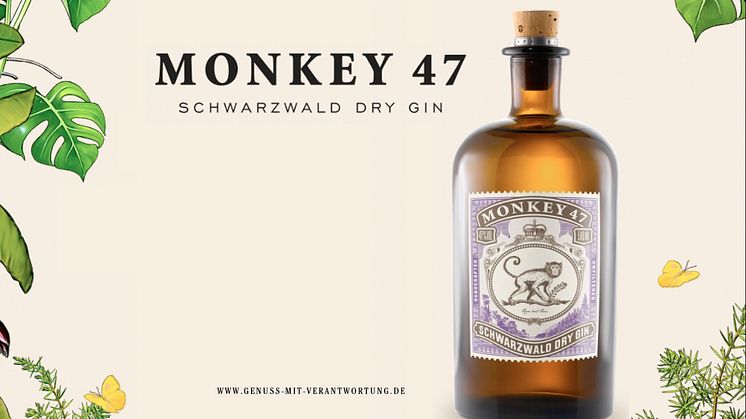 Monkey 47_PopUp