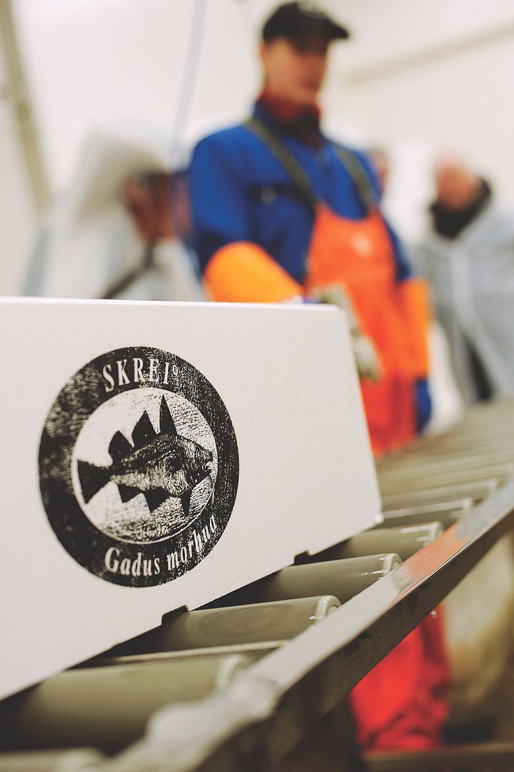 Cabillaud Skrei portant le label "Skrei de Norvège"