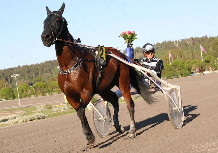 Amaru Boko och Robert Bergh