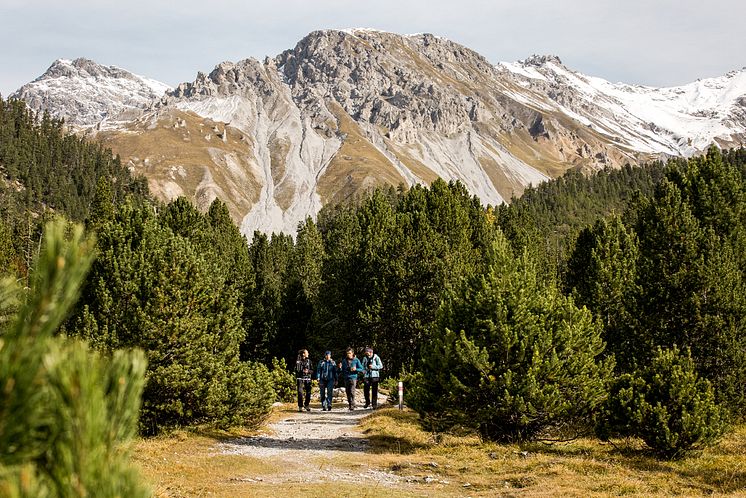 Schweizerischer Nationalpark 3 © Schweiz Tourismus, Nicola Fürer