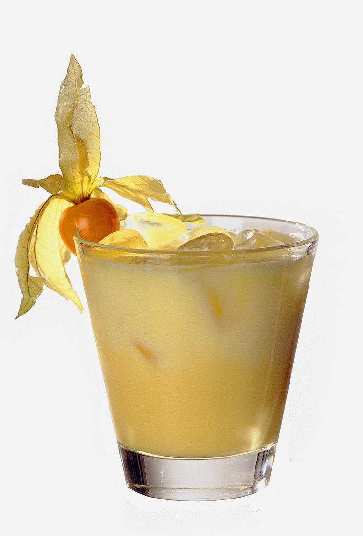 Bols Advocaat