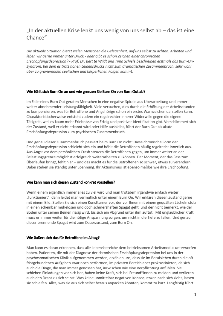 Muster-Interview_BertteWildt_TimoSchiele.pdf