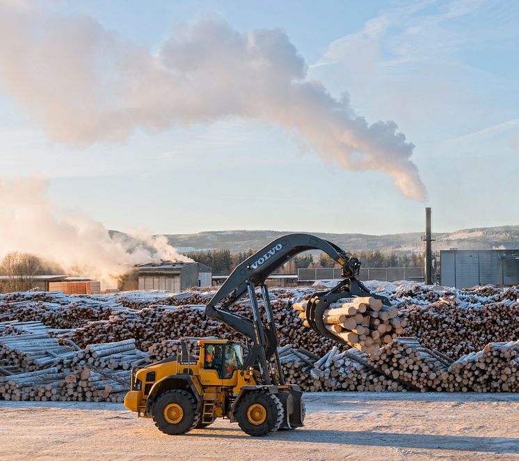 Skognæring i utvikling