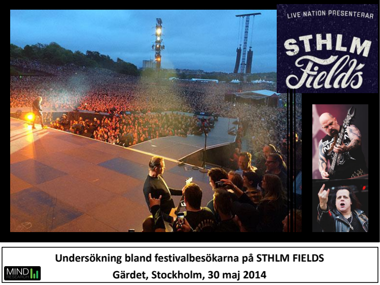 Rapport: Sthlms Fields 2014